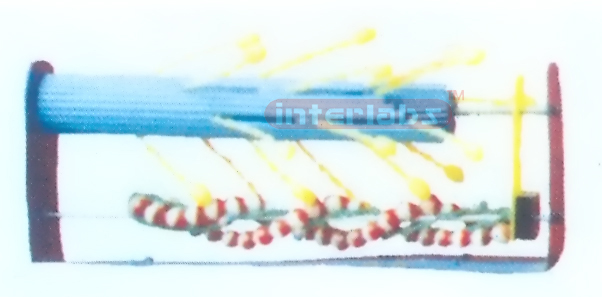 MODEL SHOWING MOLECULAR STRUCTURE AND CONSTRUCTION OF THE MISCLE BONE